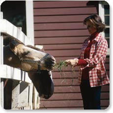 Horse Feed and Nutrition