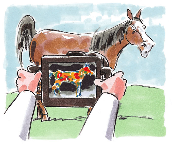 horse/with portable x-ray machine