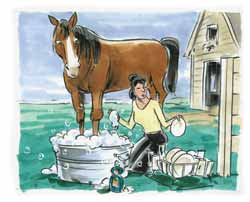 picture of woman washing her dishes with her horse